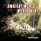 cover Ambient World & World Beat
